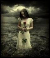 ������ ������� ���� �����