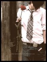 ������ ������� ����� �������