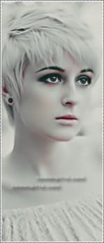 ������ ������� Rose