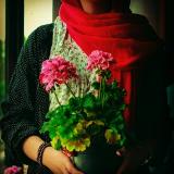 ������ ������� ���