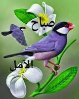 ������ ������� ���������